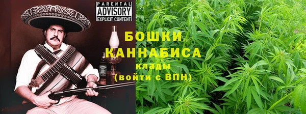PSILOCYBIN Верея