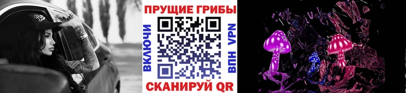 Купить где  Бикин  Псилоцибиновые грибы GOLDEN TEACHER 